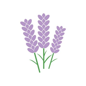 Reflexology - Hawley Health Centre Treatment Icon